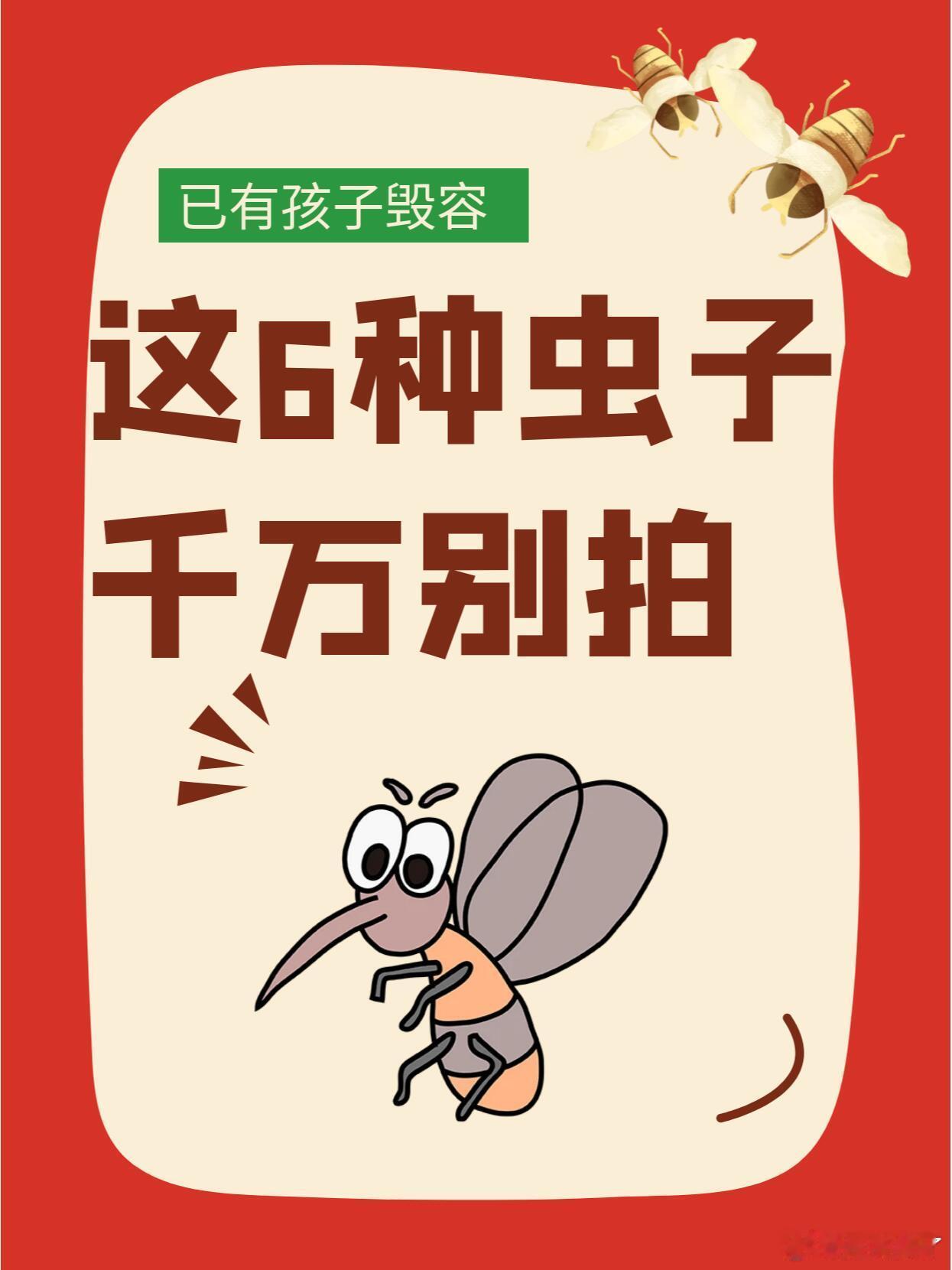 这6种虫子千万别拍    夏至过后，天气便热得更明显了，虫虫们又开始“作妖”了，