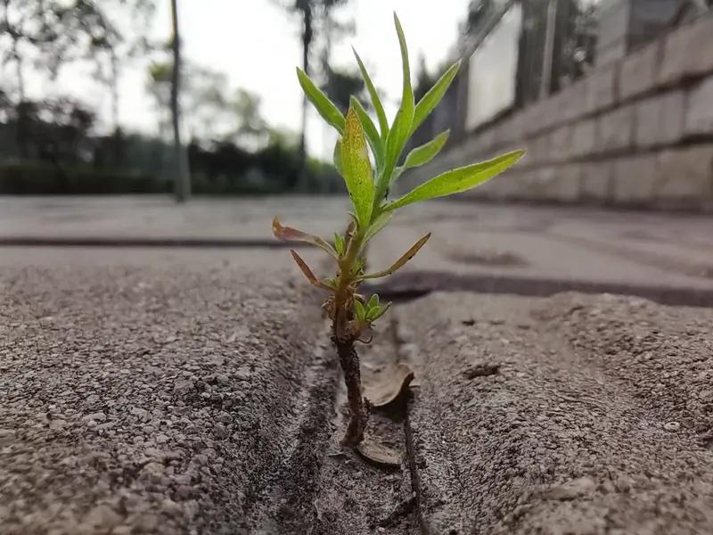 在这个五花八门的人世间，我一路磕磕碰碰的走来，唯一愿意当作真理的，便是这句话：一