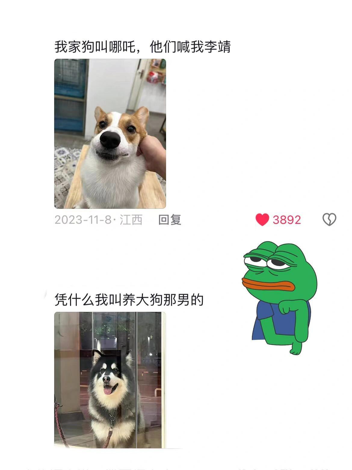 #养狗后痛失本名#这个逻辑跟小区里遛娃一样，我们都是可爱生物的附件#我的春日狂欢