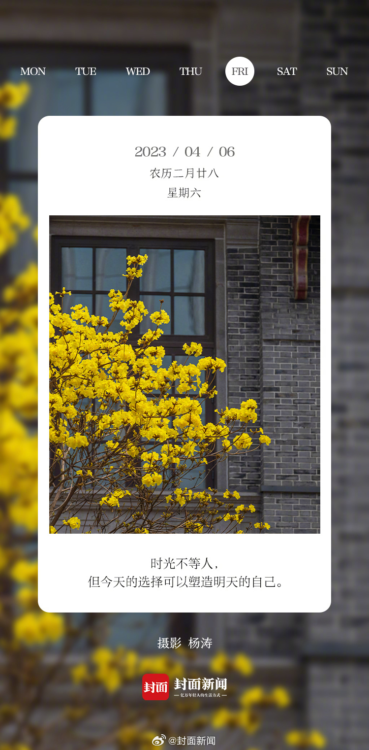 #小封日历# 今天周六~清明假期最后1天，你有啥安排？[吹风车] ​​​