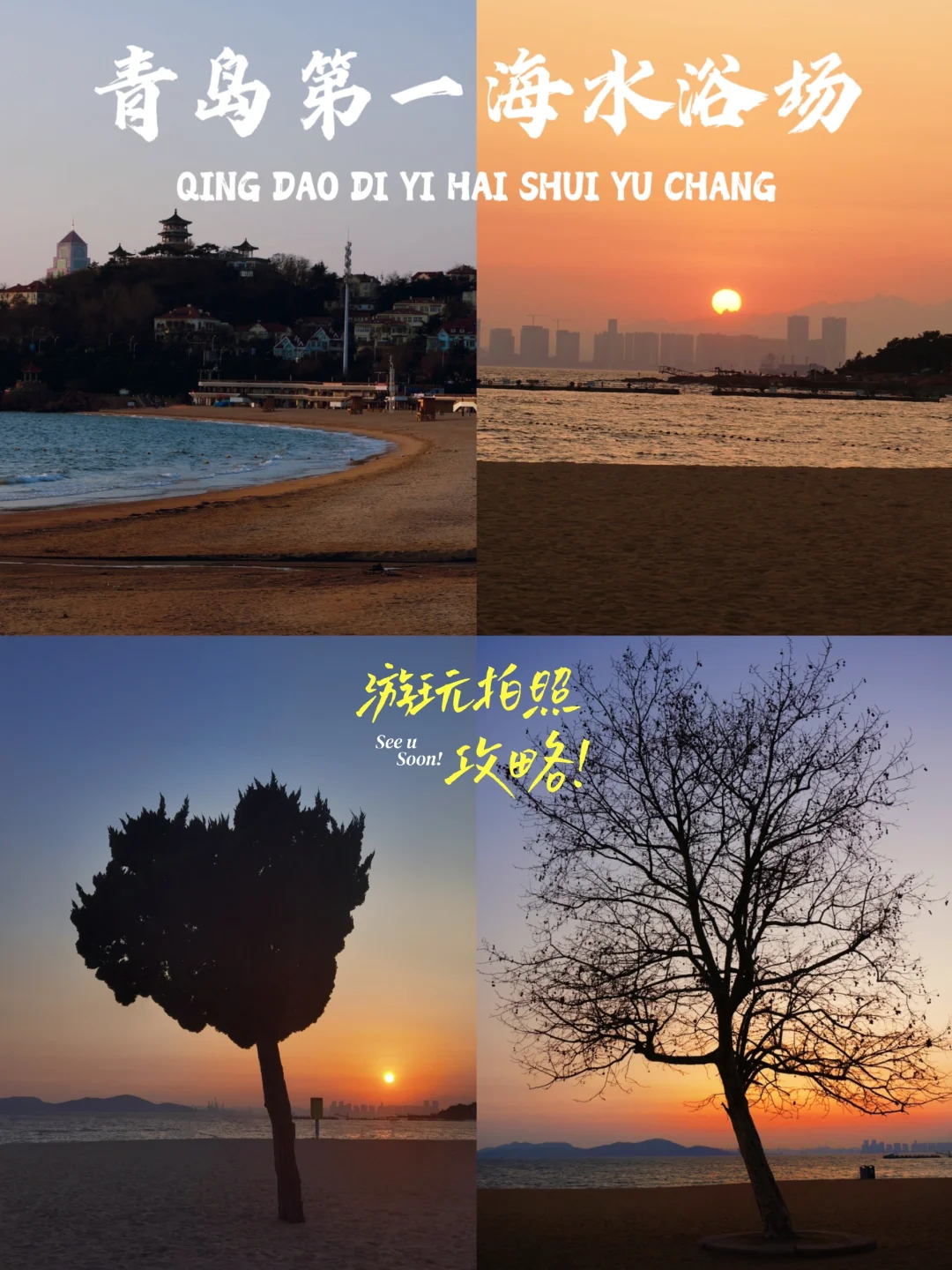 冬日来青岛！怎能错过一浴的爱心树和孤独树