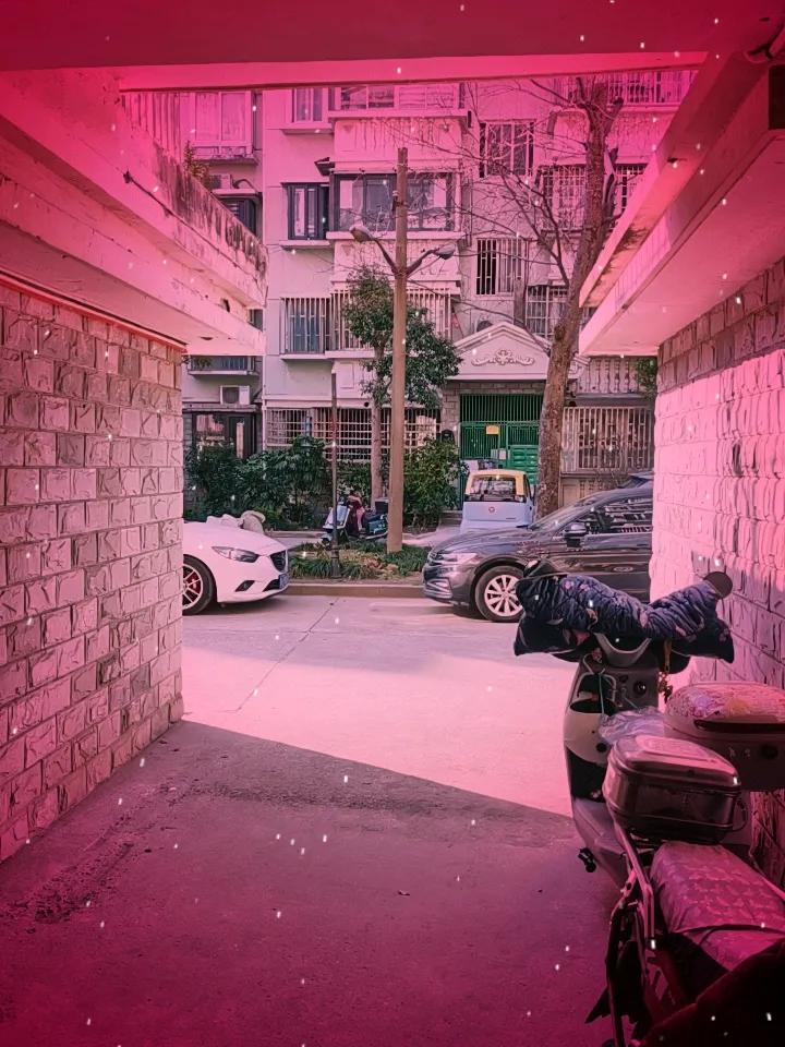 春日生活打卡季