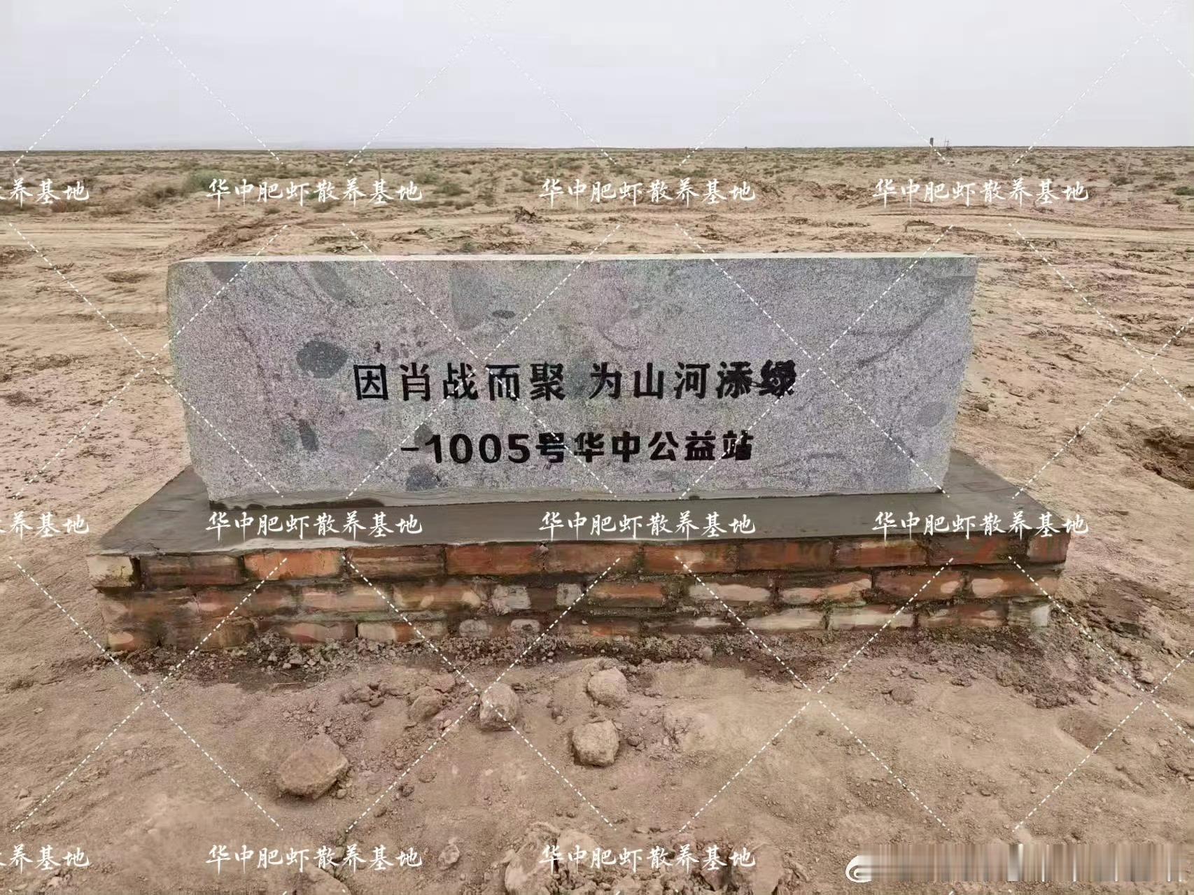 肖战公益一路有你 ‖肖战粉丝公益倡导 因肖战而聚，为山河添绿戈壁荒滩生新绿万千心
