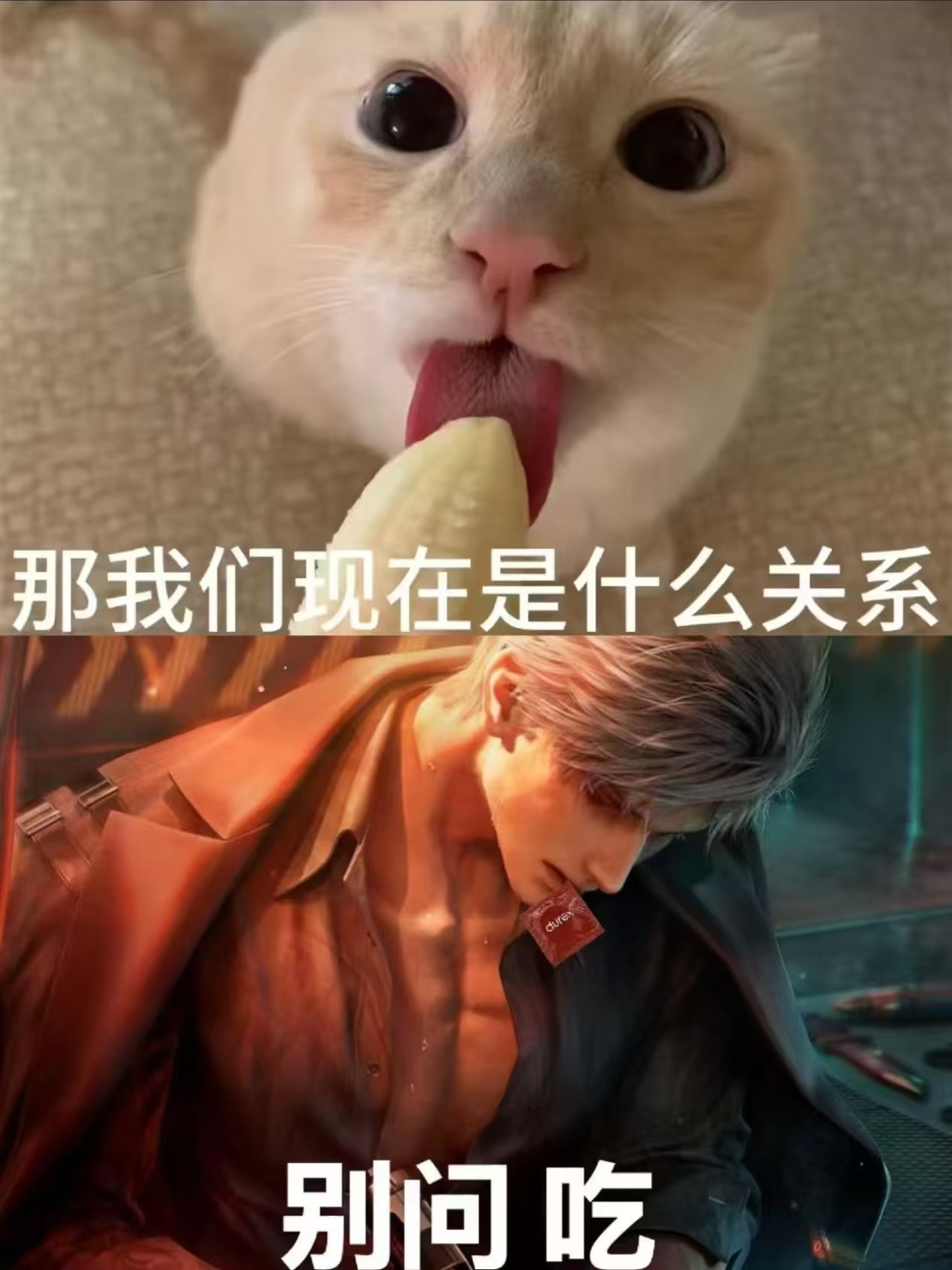 主人 