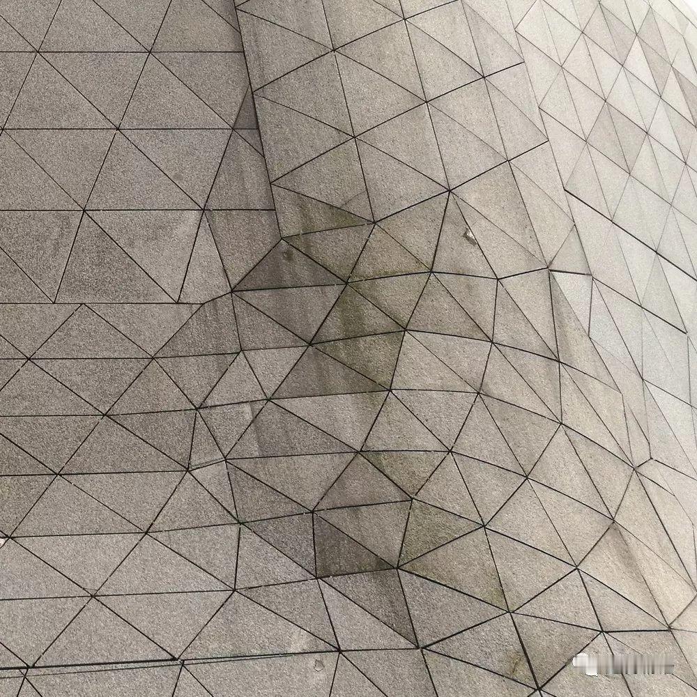 扎哈设计的广州大剧院大家知道吧？（图8-9）我第一次见到广州大剧院外立面风格的汽