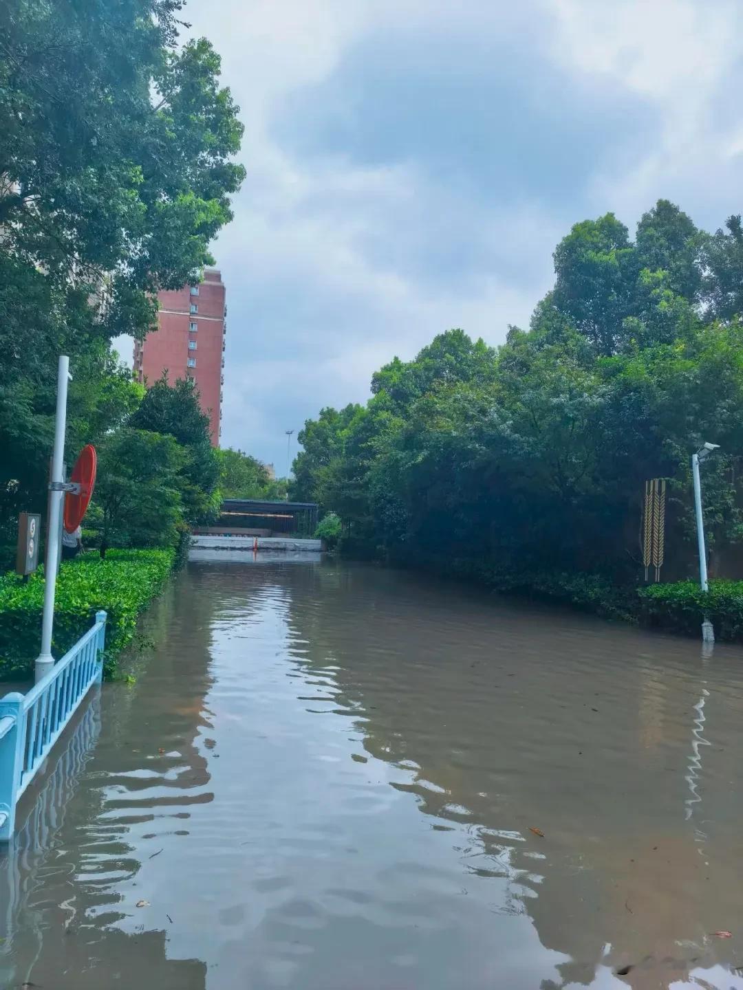 十几年一遇啊
小区可以养鱼了
给物业点个大大的👍
鱼没进车库[笑哭]