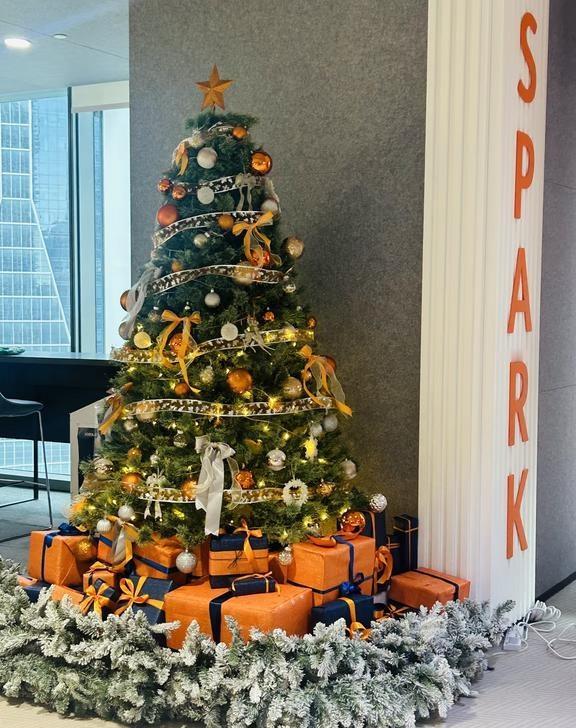 我怀念的是回不去的2010年🎄
十一月的新加坡，街头亮起圣诞的灯火，夏日里圣诞