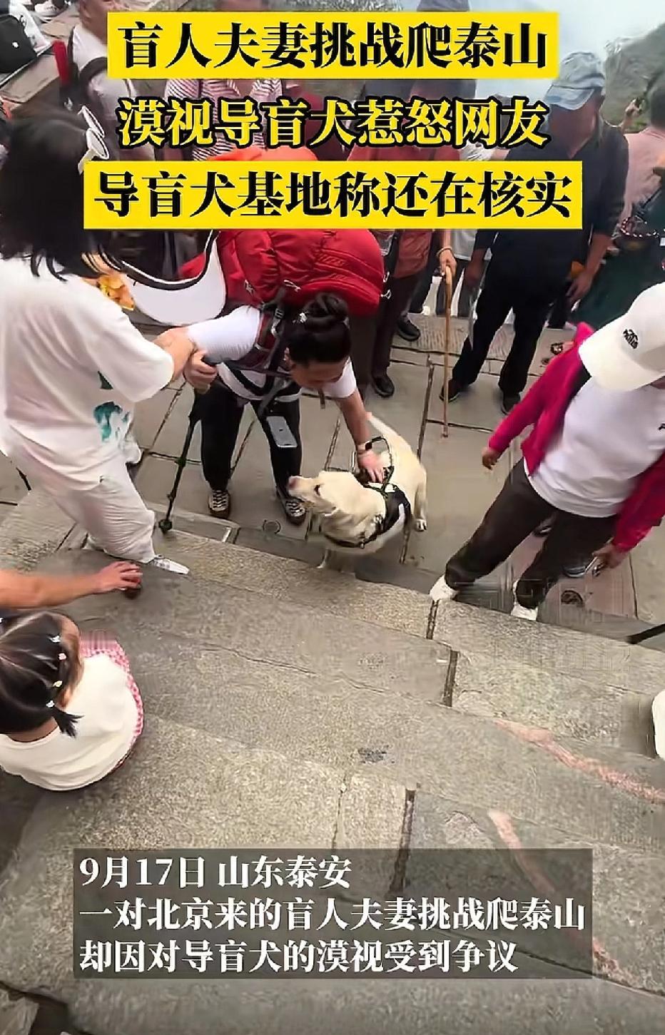 盲人夫妇带着导盲犬攀登泰山，这本应是一场令人动容的体能挑战，却激起了网友的愤慨。