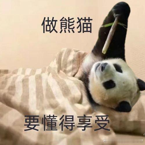 #福宝可太会营业了# 好吧，福宝啊，各种经营让自己的生活美滋滋。使用OPPO R