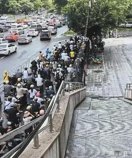 点电鸡不严查，开车的机动车道长期被电鸡霸占，乱变道闯红灯，为所欲为，建议给电鸡立