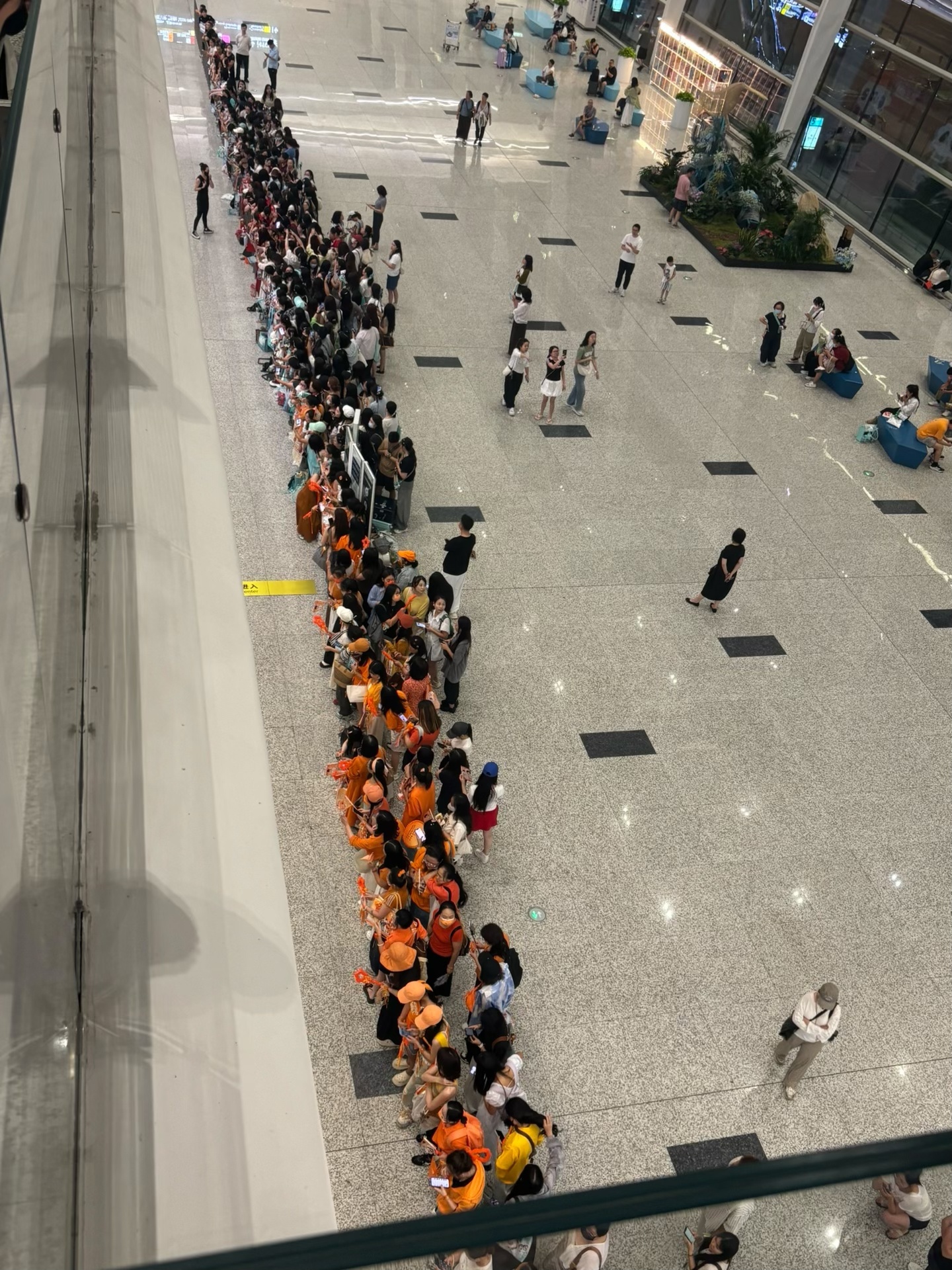 嗯嗯嗯这个才叫55开哈[来抱抱]哦哦下家丝混在老普河堆里哈简直看不见[yeah]