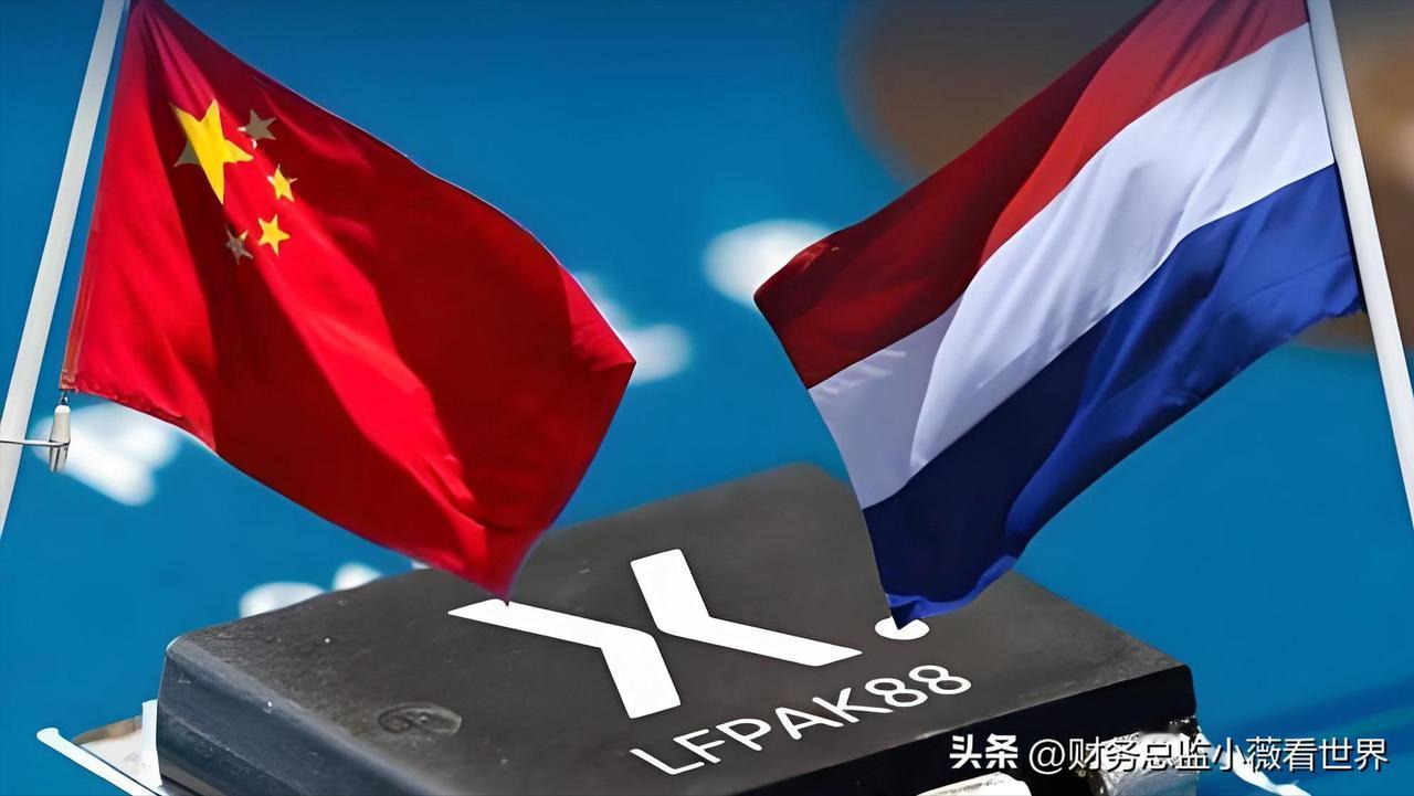 荷兰若求饶，应该先进行赔偿。综合网上各方消息，说是荷兰扛不住了，打算最快在下周归