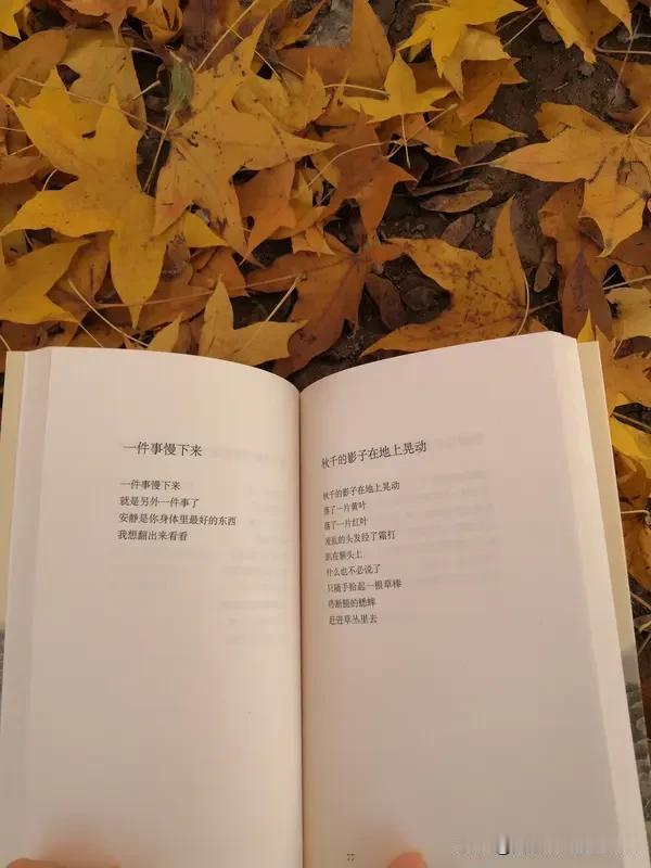 上联：佳人久住秋诗里，安子邀对下联，雅士常游画境中，[微风]