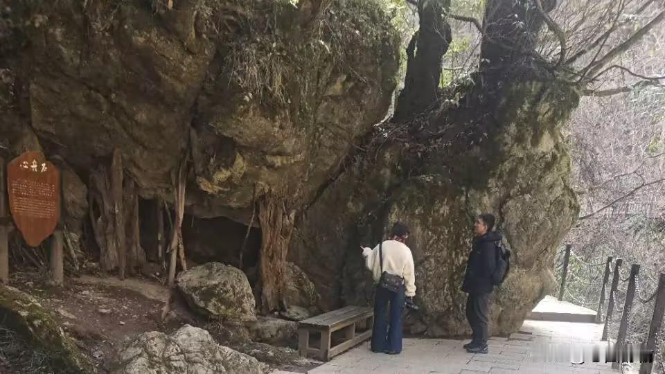 神农架的呼吸藏在黄岩河的水珠与石槽河的波纹中，当我们踩着山民的旧痕行走，才懂得最