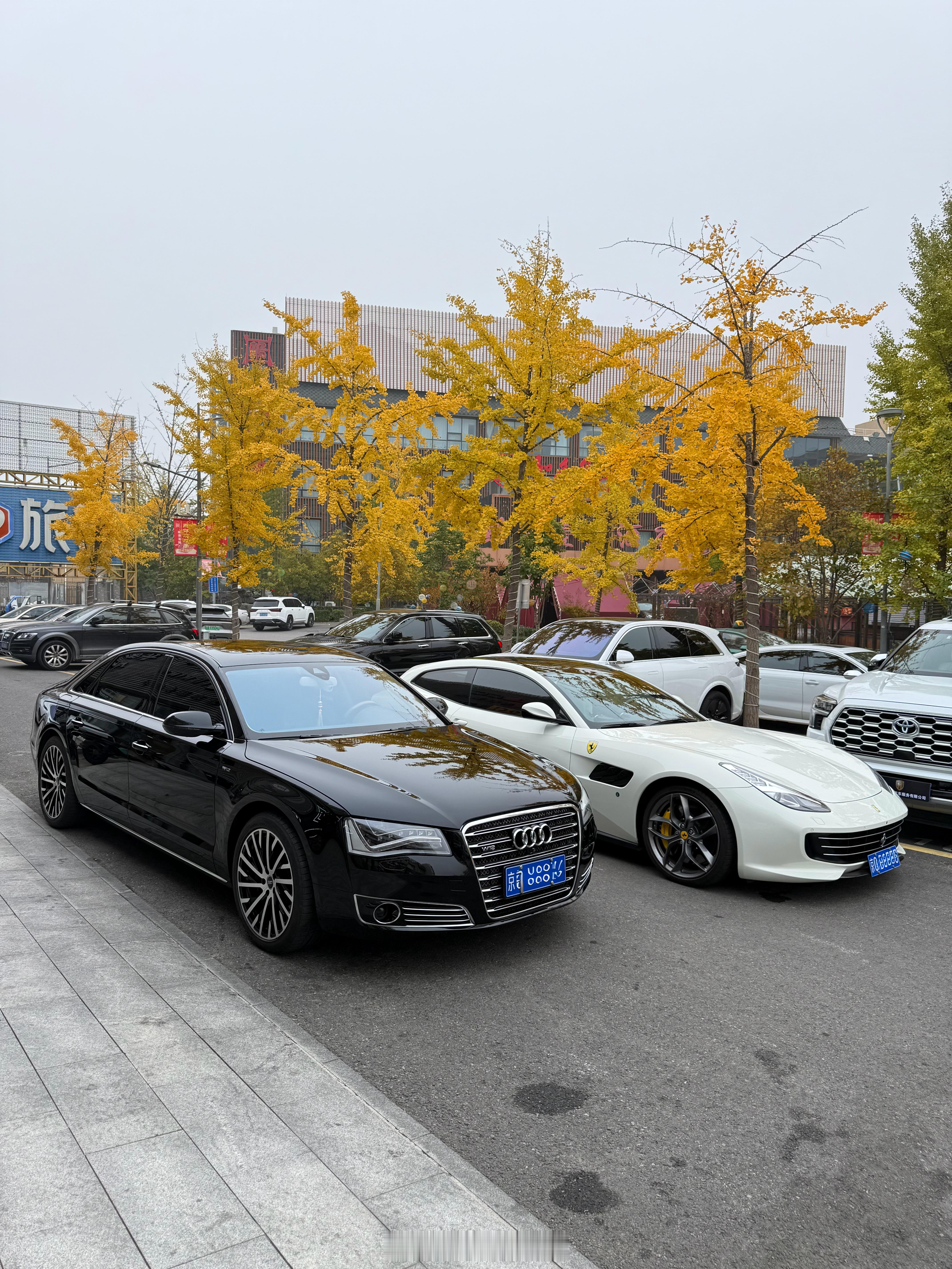 北京最美的季节🍂  ​​​