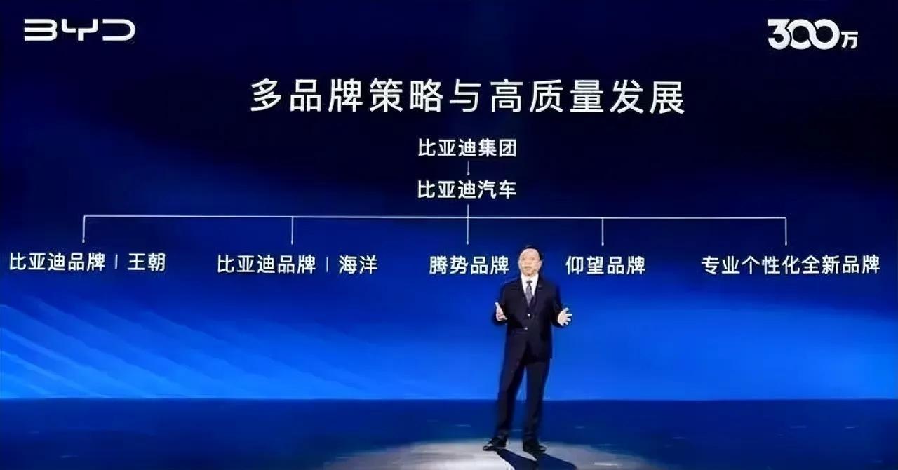 今年比亚迪要全线铺开，电动化产品矩阵会更加清晰和完整。

王朝和海洋网络，覆盖1
