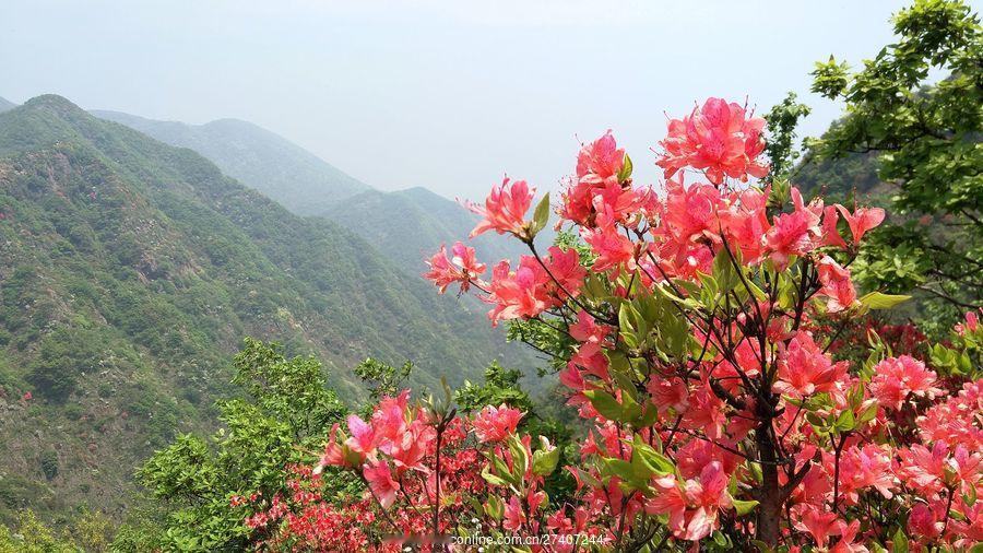 需要的是数学许多名词都来自于国外，许多词汇的含义又超出了汉语所表达的范围，数学又