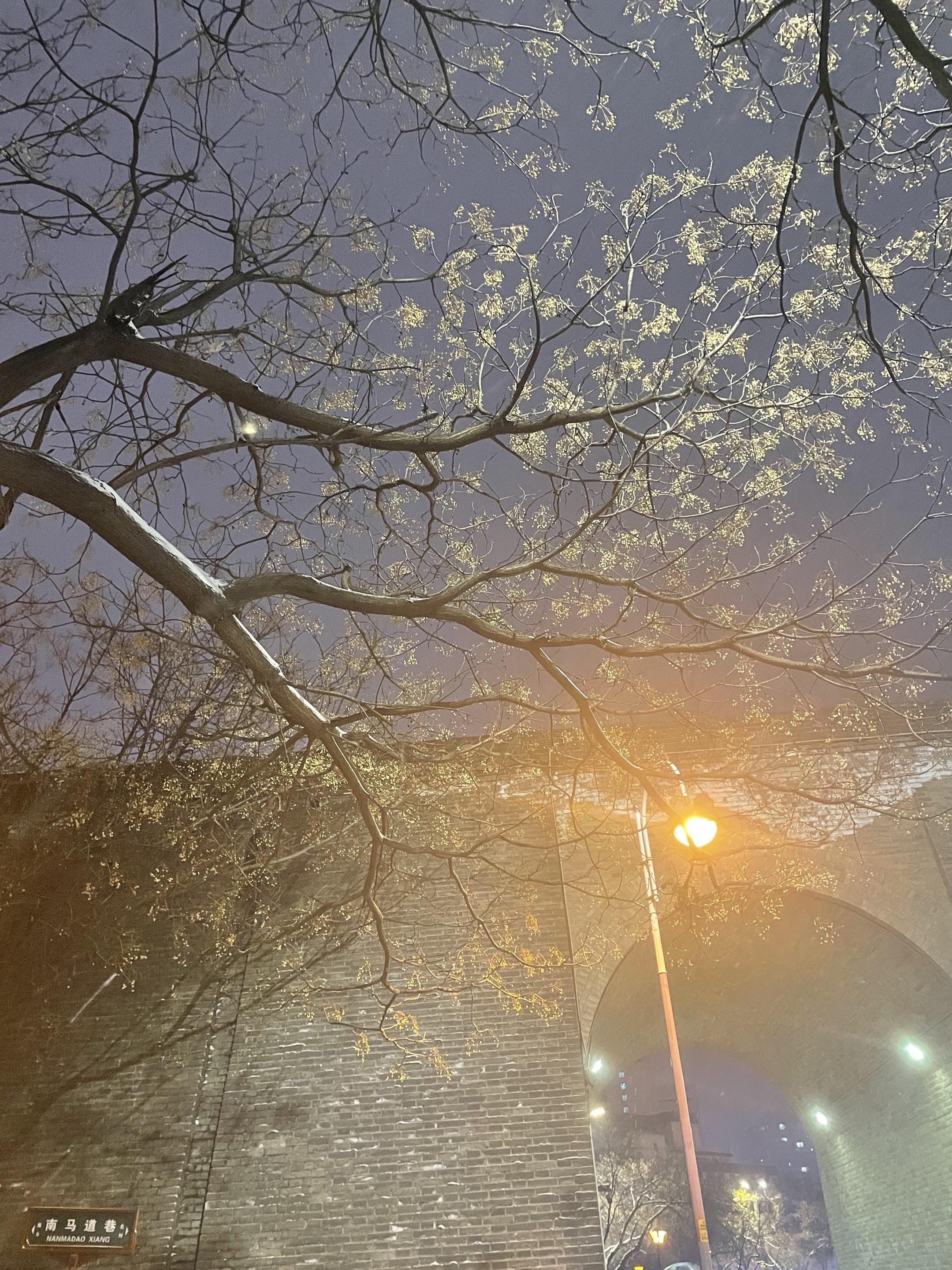 去看可以治愈一切的风景原来它真的很美