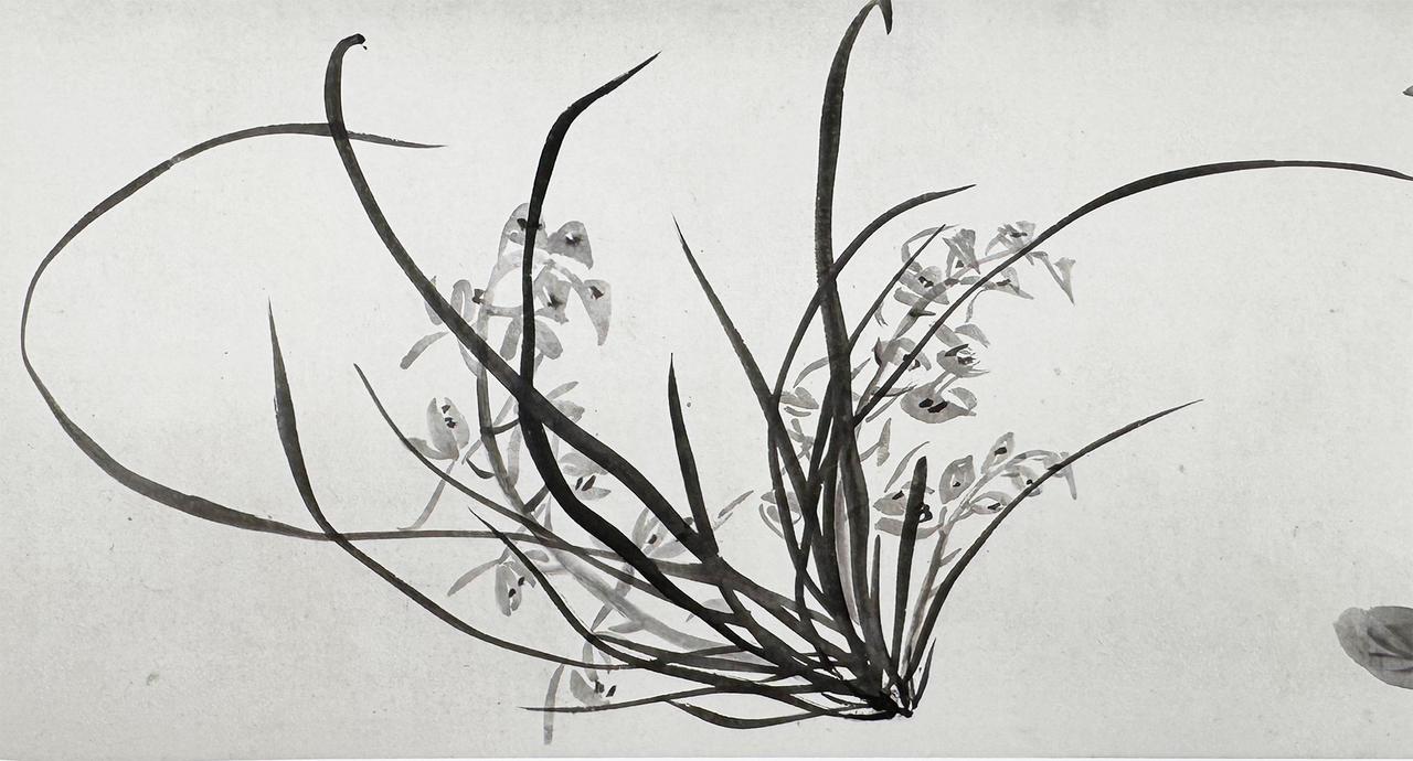 名画欣赏：
明 王铎《枯兰复花图》（局部）
纵32.6厘米 横1035.5厘米 