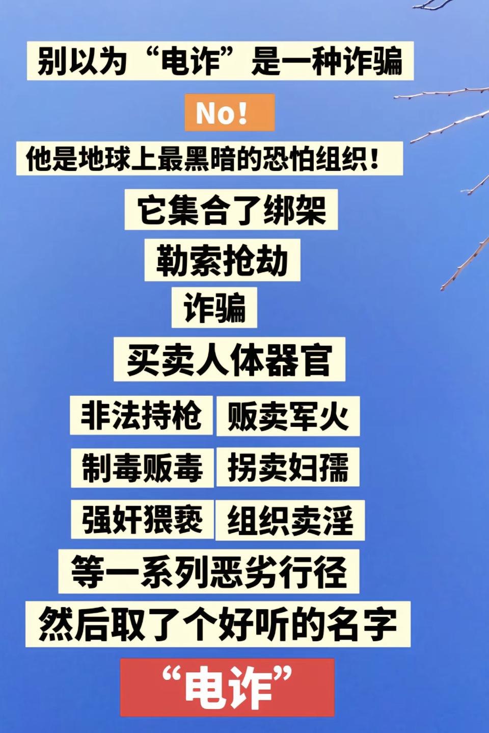 别以为电诈只是一种诈骗，诈骗集合地是以贩卖器官，拐卖，组织卖淫等等犯罪活动为一体