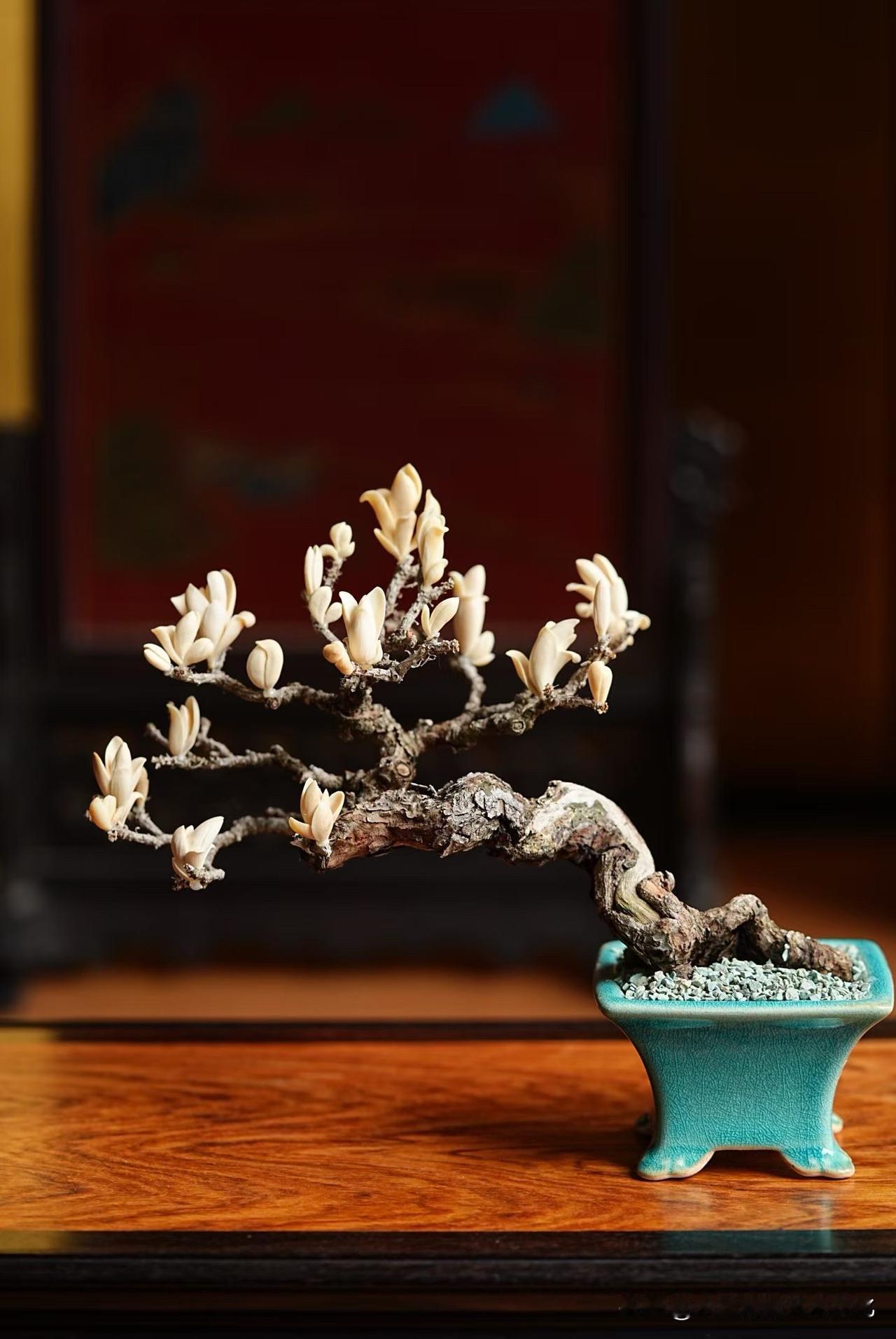 一枝玉兰，开在枯木之上。

猛犸牙的温润，与老木的苍劲相对而立——
一边是时间沉