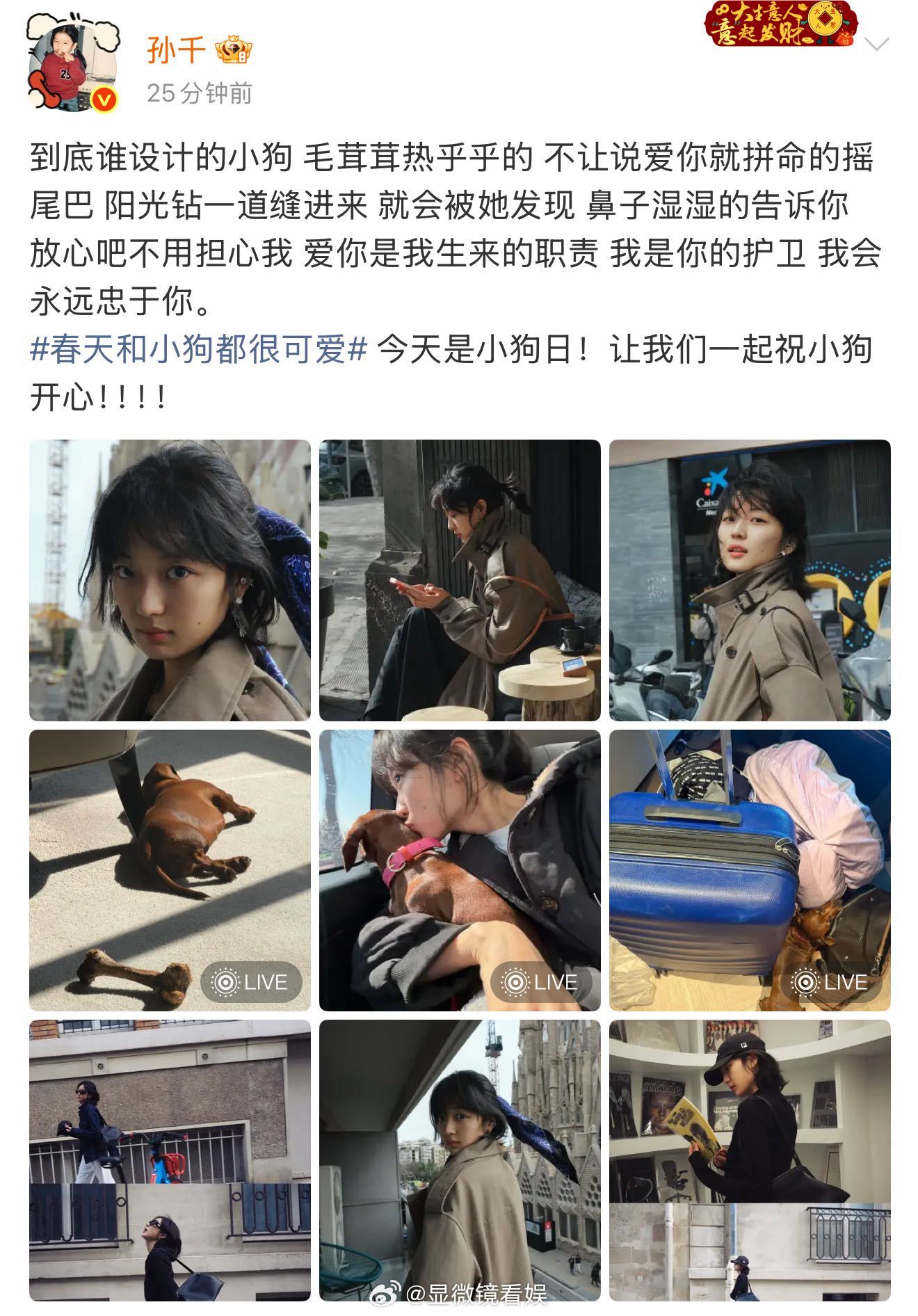 孙千写的小狗文学好有灵气孙千到底谁设计的小狗 孙千这个小狗文学养狗人狠狠共情！每