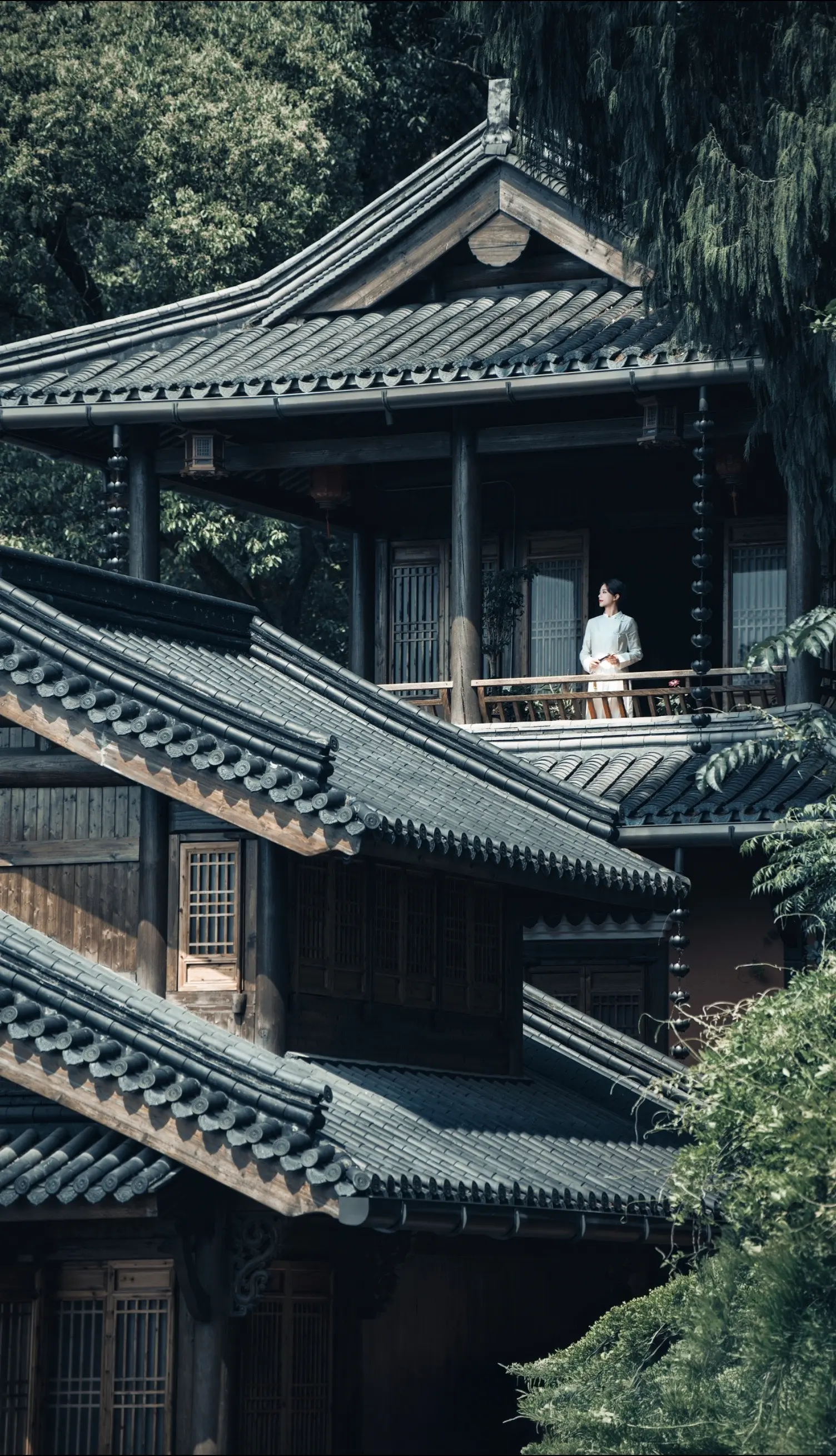 天台山紫云洞。