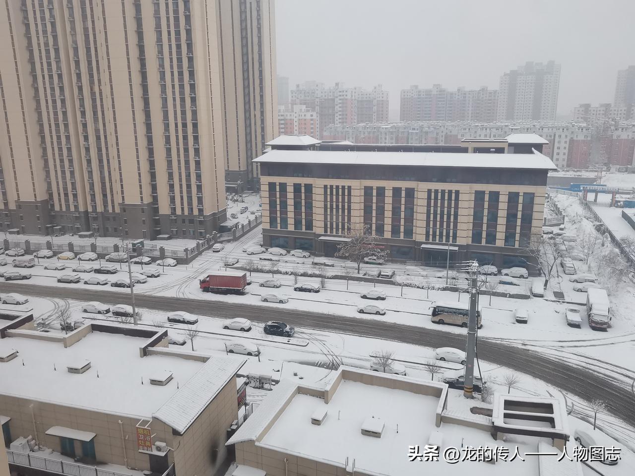 天南地北大拜年