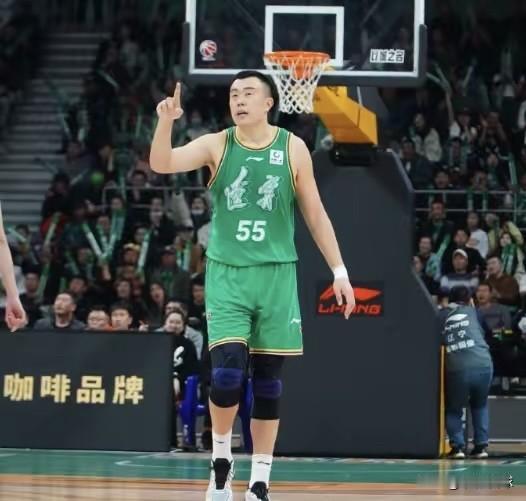 CBA目前实力可排前三老将，非这三人不可。

1、韩德君（37岁，辽宁男篮中锋）