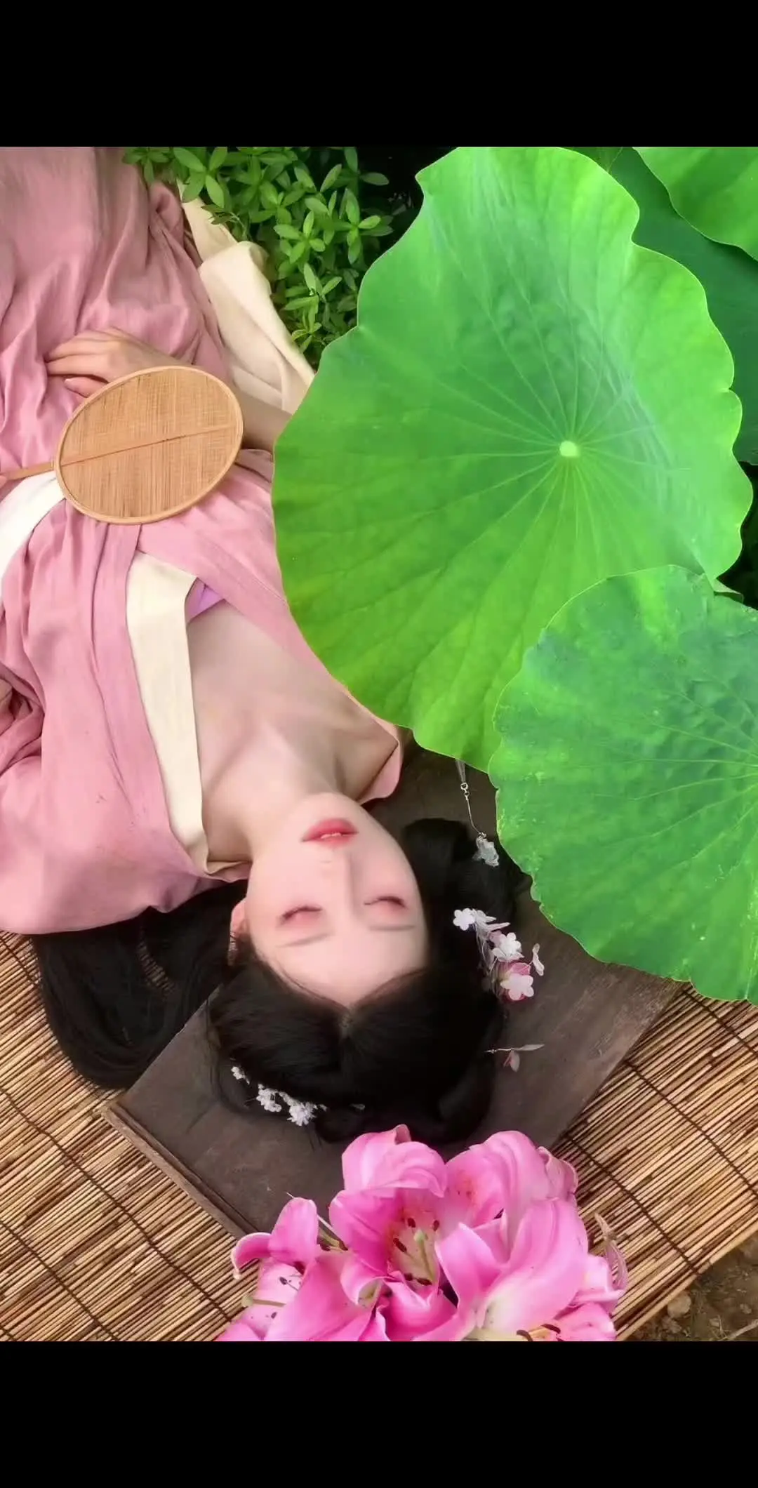 误入藕花深处…