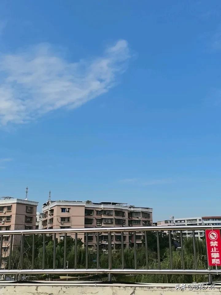 什么叫当官的智慧，什么叫老革命遇到新问题，什么叫反转，什么叫脑筋转不过来，在这个