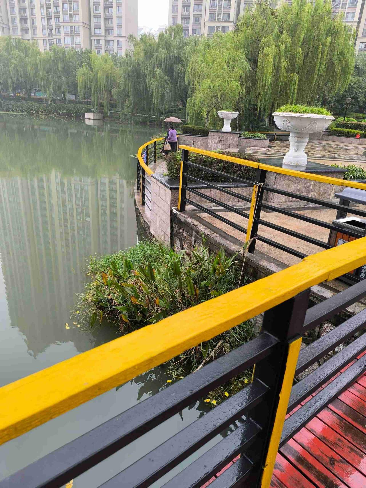 这钓鱼的老头是男人的天花板，家庭地位绝对高[赞][赞][赞]


带定位晒今日生