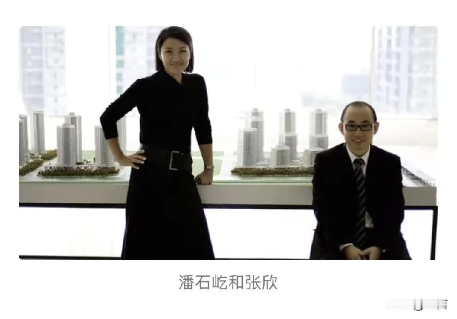 潘石屹，张欣夫妻二人在美国首个房地产开发项目开始建设

彭博社报道:张欣旗下地产