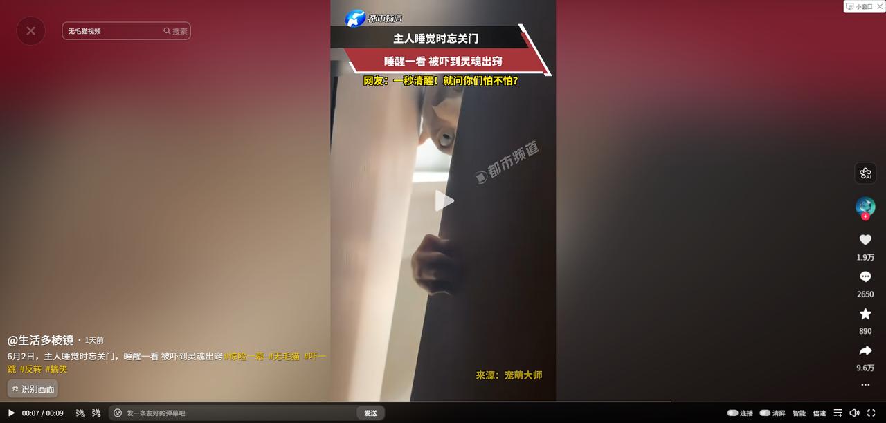 “太吓人了。”据媒体6月1日报道，辽宁一位主人睡觉时忘关门，睡醒一看直接被吓到灵