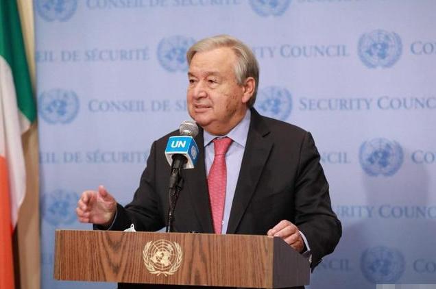 国民党主席郑丽文突然宣布
12月24日下午，国民党主席郑丽文在中常会上宣布，“昨