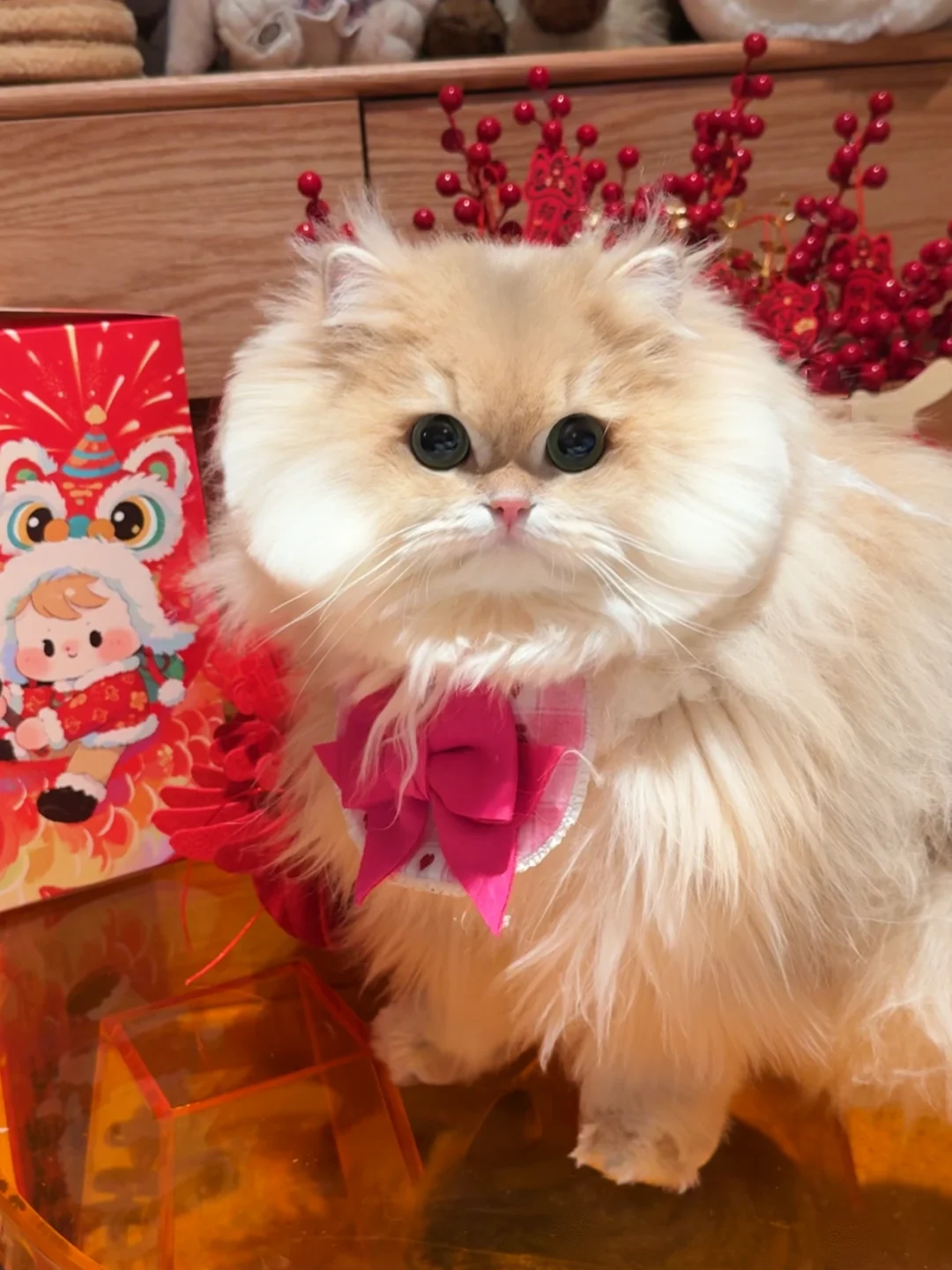 生胖气就会变的圆鼓鼓ˆ𓂂ɞ̴̶̷ . ɞ̴̶̷𓂂