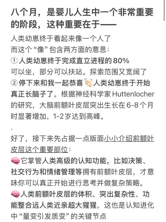 八个月宝宝👶🏻使用说明书（文字版）