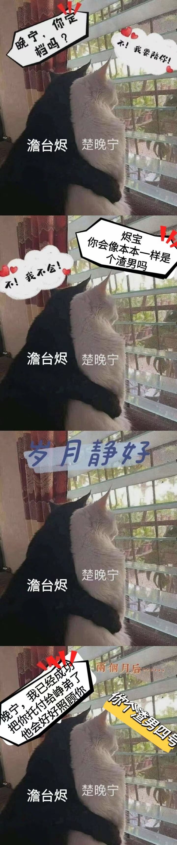 看朋友圈看到一个超好玩的一组图，碗泥不是在被哥弟抛弃就是在被哥弟抛弃的路上 