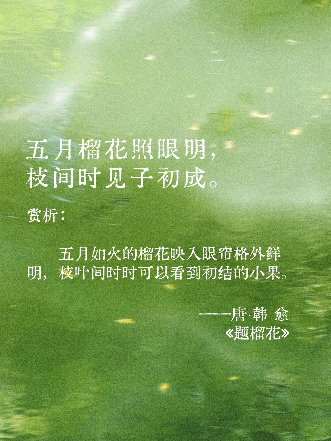 诗词里的五月唯美动人，夏浅胜春朝 