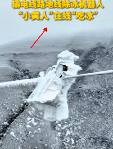 “被人民日报点赞了！”四川凉山，工作人员巡视时，发现海拔3300米处的输电线路结