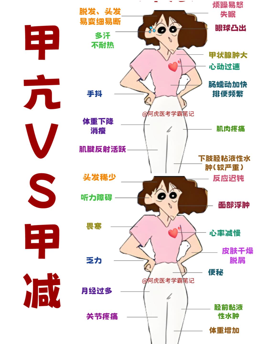 阿虎医考学霸笔记📒：当甲亢VS甲减👆