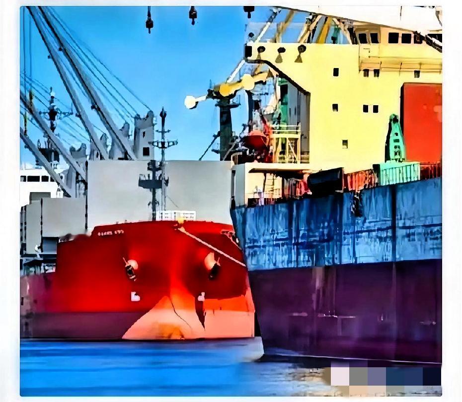 一艘满载6.9万吨巴西大豆运到家门口，被我们原路退回！

又一艘满载6.9万吨巴