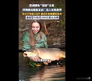 特朗普忙着向亚洲鲤鱼宣战 宣战原因曝光特朗普又整活！直接在社交平台官宣：向亚洲鲤