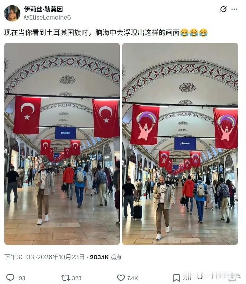 哈哈哈！[捂脸][捂脸][捂脸]现在T上的美国人纷纷表示，现在当看到土国的国旗时