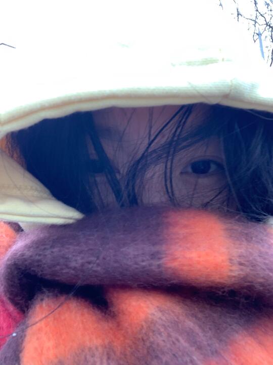 等我贝贝们