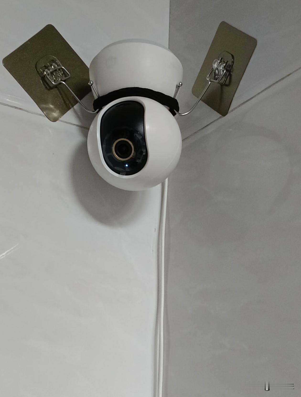 人怎么能聪明成这种样子？