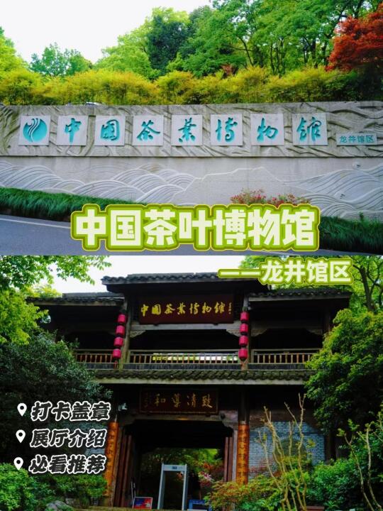 杭州茶山秘境｜0元解锁茶文化轻徒步路线