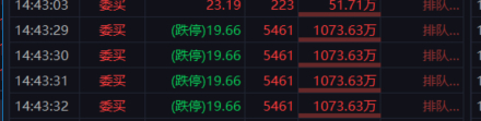 你是谁？[喵喵] ​​​