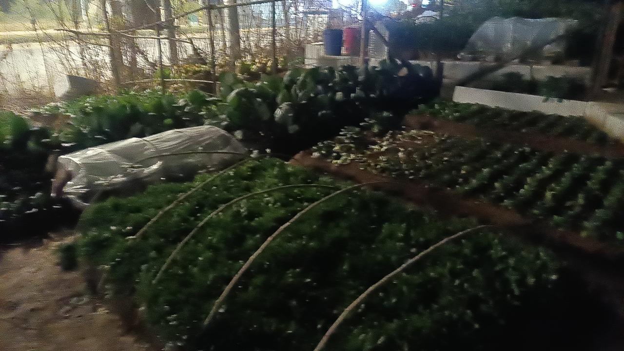 或许，我们都在期待一场“暖冬”的奇迹，却发现，真正的温暖，源自于内心的坚韧与善良