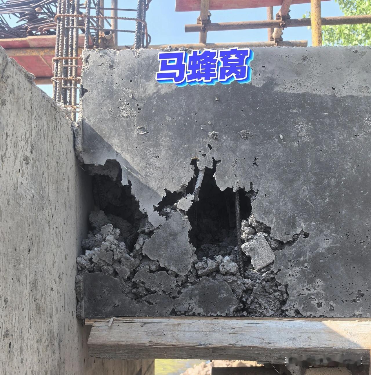 @豆包 您怎么看元宝的评论！！！